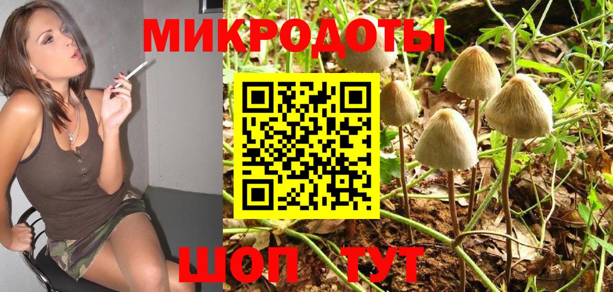 Псилоцибиновые грибы ЛСД Чайковский